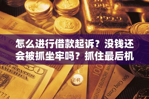 武汉怎么进行借款起诉？没钱还会被抓坐牢吗？抓住最后机会！