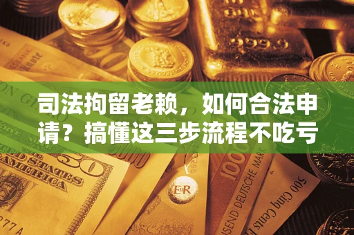 武汉司法拘留老赖，如何合法申请？搞懂这三步流程不吃亏！