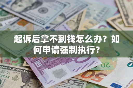 武汉起诉后拿不到钱怎么办？如何申请强制执行？