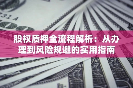 武汉股权质押全流程解析：从办理到风险规避的实用指南