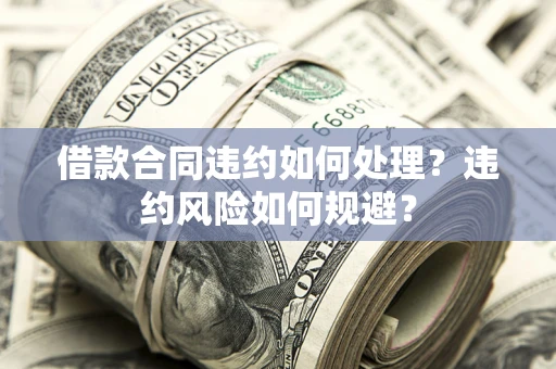 武汉借款合同违约如何处理？违约风险如何规避？