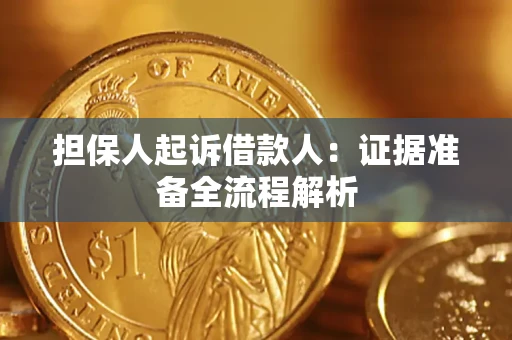 武汉担保人起诉借款人：证据准备全流程解析
