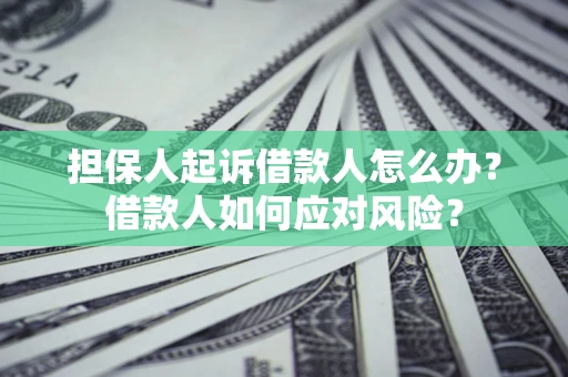 武汉担保人起诉借款人怎么办？借款人如何应对风险？