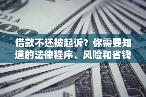 武汉借款不还被起诉？你需要知道的法律程序、风险和省钱技巧